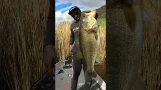 The Fish Of A Lifetime! #BassFishing