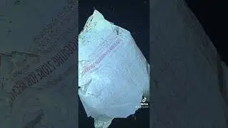 The scariest thing in the deep sea is this: plastic pollution. #plasticpollution #deepsea #pollution