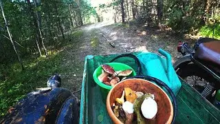 С БАЙКАЛОМ ЗА ГРИБАМИ
