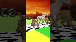 Epic Animal Race, Hound, Horse, Lion, Fox, Coyote, Jaguar #Shorts