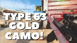 THE GOLD TYPE 63! - ROAD TO DIAMOND! (BLACK OPS COLD WAR)
