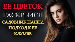 Он нашел подход к ее цветочку. Любовные истории. Жизненные истории. Аудио рассказы.