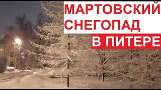 Сильный #снегопад в #Питер, 5 марта 2023 | Красота русской зимы