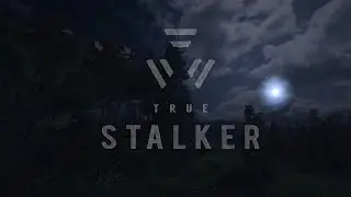 Let's Play TRUE STALKER ( S.T.A.L.K.E.R. - Call of Pripyat MOD ) Gameplay Video