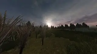 До сих пор пожираю бананы