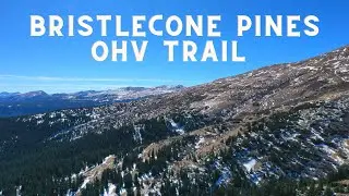 Bristlecone Pines OHV Trail in Alma, CO