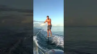 Pure Bliss!