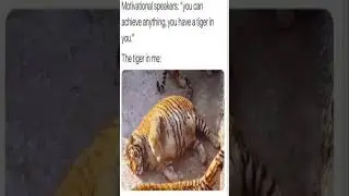 Memes We All Relate to 20