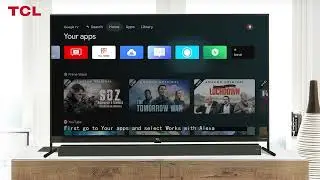 Set up Alexa (WWA) function for TCL Google TV