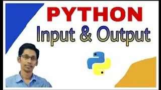 Python Input and Output | Python input() and print() function