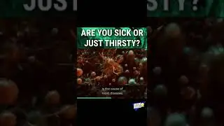 Are you Sick or just THIRSTY