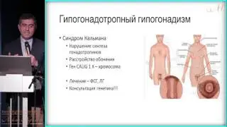 04 июня 2017 г. Лекция 