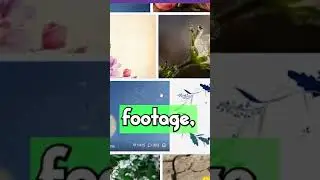 Where to find FREE Non Copyright Stock Footage!