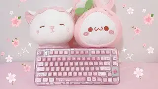 building a clear pink keyboard with silent switches 🐱🌸 epomaker, yunzii, akko