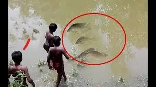 Best new technology small boys catching fishing by using the tube ♠Amazing Nature