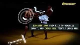 Striking Combo: Catch kick, vertical elbow, reverse elbow