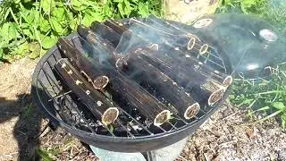 Иван чай горный уральский в стебле репейника