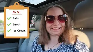 Labs, Lunch, & Ice Cream | Ally Grace | (8/19/2022)
