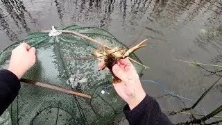 Ловим раки и рыбу глубокой осенью!!! Китайские раколовки в деле!