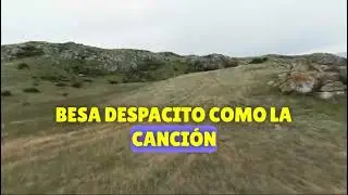 La vida es corta