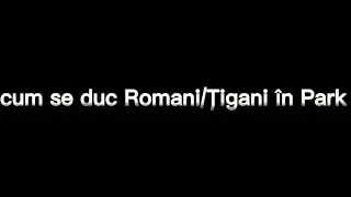 cum se duc Romani/Țigani în Park {pamflet}