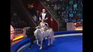 Цирк со звездами - Турчинский. Выпуск 9 (Па-де-де на лошадях)