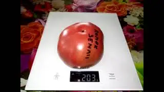 Томат Комок земли Elbonian Mudball