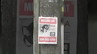 UNCANNY VALLEY - THE MISSING CAT 😭😿 