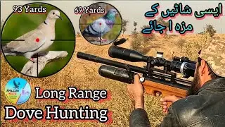 DOVE HUNTING IN PAKISTAN | PIGEON HUNTING | QS MK3 BT | HUNTING WITH AIR GUN | FALCON SLUGS | P35 X