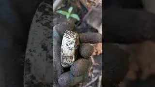 ВЫ НАХОДИЛИ ТАКОЕ? #короткое #короткоевидео #short #shorts