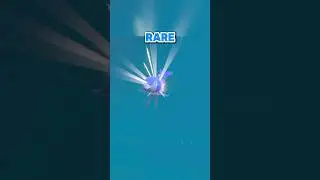 MARK SHINY Finizen outbreak in Scarlet and Violet