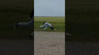 Люцифер воет  в поле🔥 