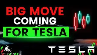 Tesla Stock Price Analysis | Key Levels and Signals for Thursday, October 19th, 2023