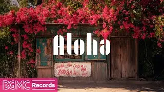 Hawaiian Music for Relaxation | Perfect Background Sound for Focus and Calm