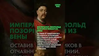 Осада Вены и решающая битва (Часть 2)