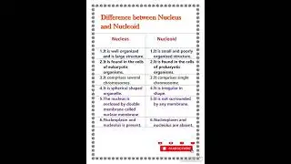 Difference between Nucleus and Nucleoid