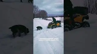 Продолжаем #квадроламбада на квадроцикле. Ждем весны  #квадроциклы #atv #stelsguepard