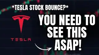 WOW: Big Money is Secretly Bullish on Tesla Stock.. (Prepare to Be Shocked)