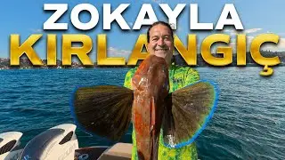 İstanbul’da Zoka İle At Çek