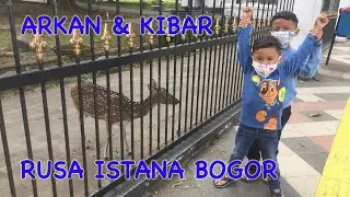 RUSA ISTANA BOGOR