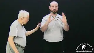 Qi and Internal Energy In Classical Tai Chi