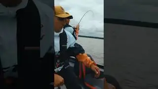 ПОБЕДНАЯ РЫБА?!