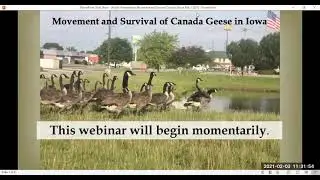 Urban Goose Meeting Feb 2021, Iowa DNR