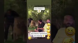 😆😂🤭