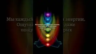 Что такое Чакры? / Матрица Судьбы. Часть 1 