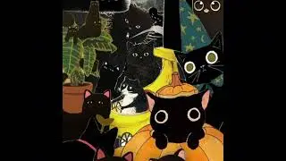(free) indie rock + bedroom pop type beat - 