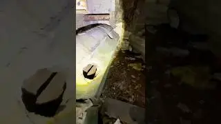 ШАБАШ ВЕДЬМ, ПОРЧИ И ОБРЯДЫ НА КЛАДБИЩЕ!