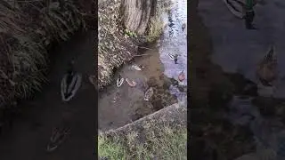 Релакс