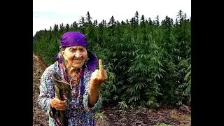 Туи де ля хренови, люга, люга! Глоссолалия