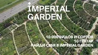 Найди себя в IMPERIAL GARDEN